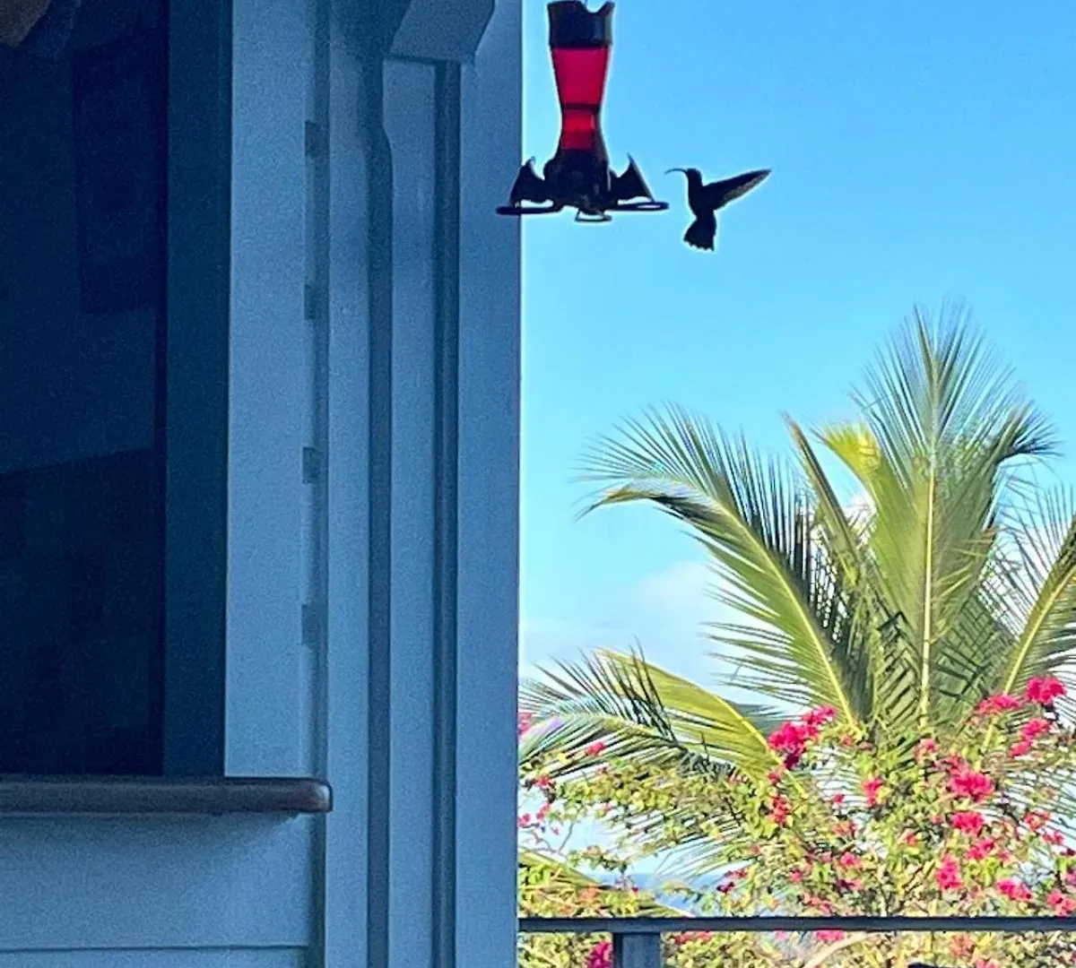 La Villa Kawana A 5 Minutes A Pied De La Plage Les Anses-d'Arlets